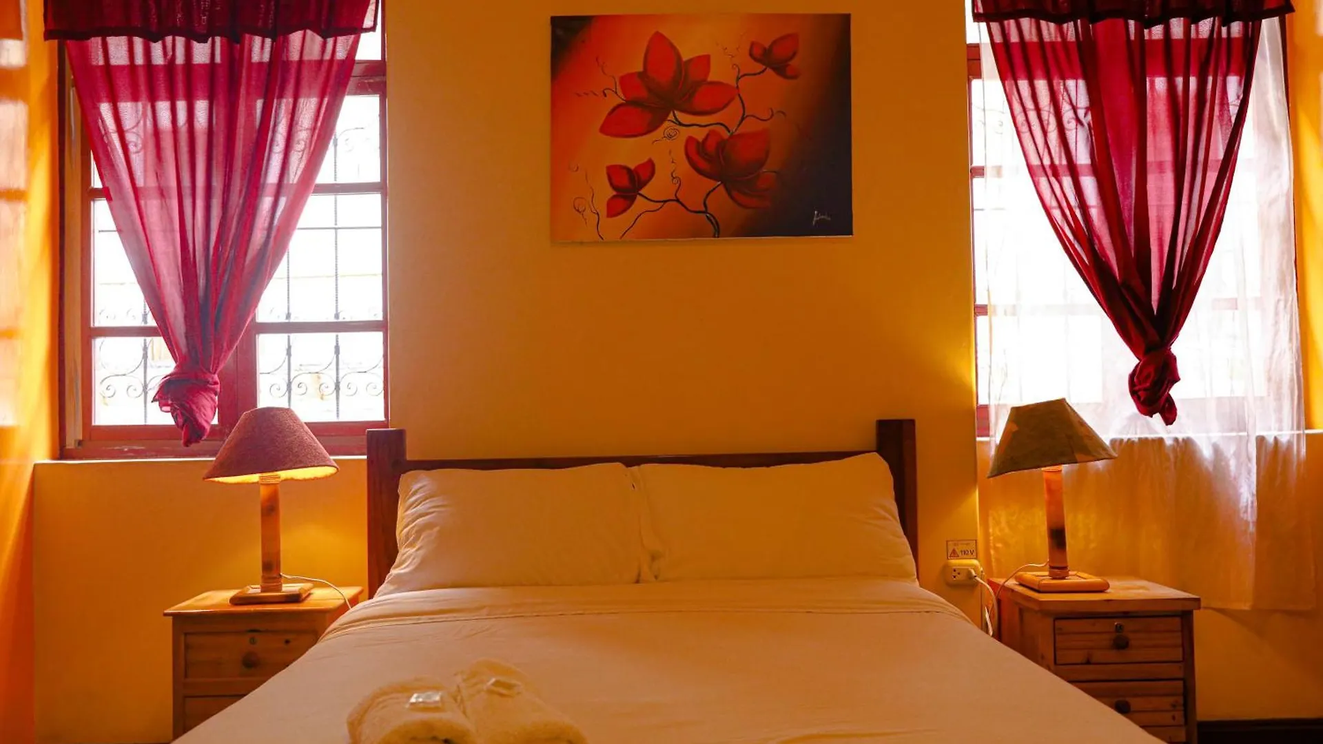 Vibes Aurik Hotel Quito Ecuador